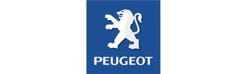 D- Collecteurs Peugeot